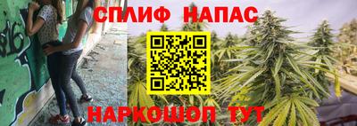 ПСИЛОЦИБИНОВЫЕ ГРИБЫ Будённовск