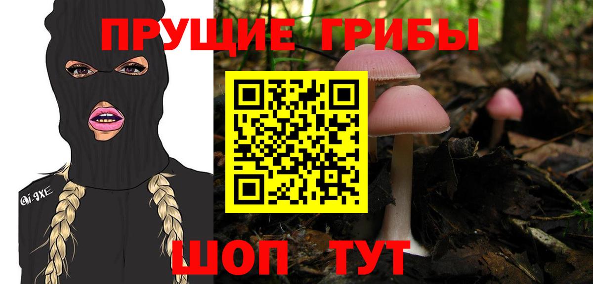 Пыть-Ях  Псилоцибиновые грибы GOLDEN TEACHER  Вход с VPN 